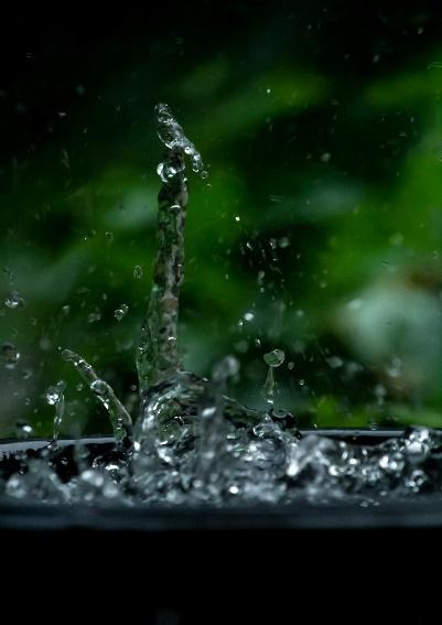 a close up of a water fountain with green plants in the background