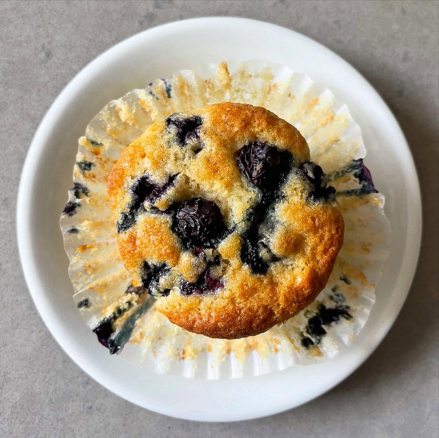 Blueberry Muffins