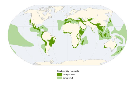 Biodiversity Hotspots Around the World