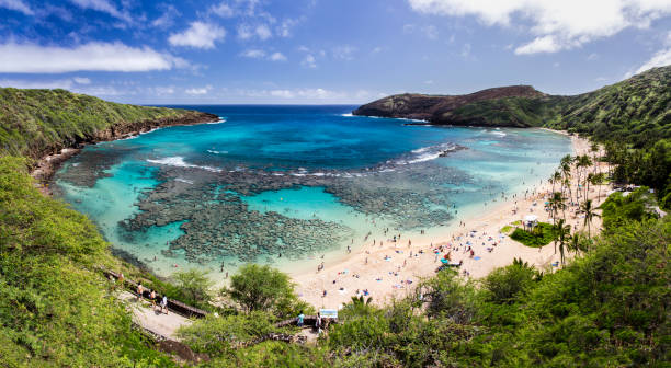 1,000+ Hanauma Bay Stock Photos, Pictures & Royalty-Free ...