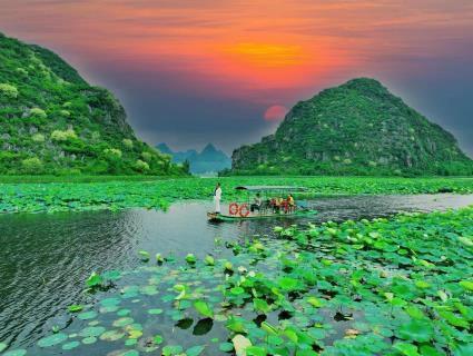 A boat on a lake surrounded by lily pads  Description automatically generated