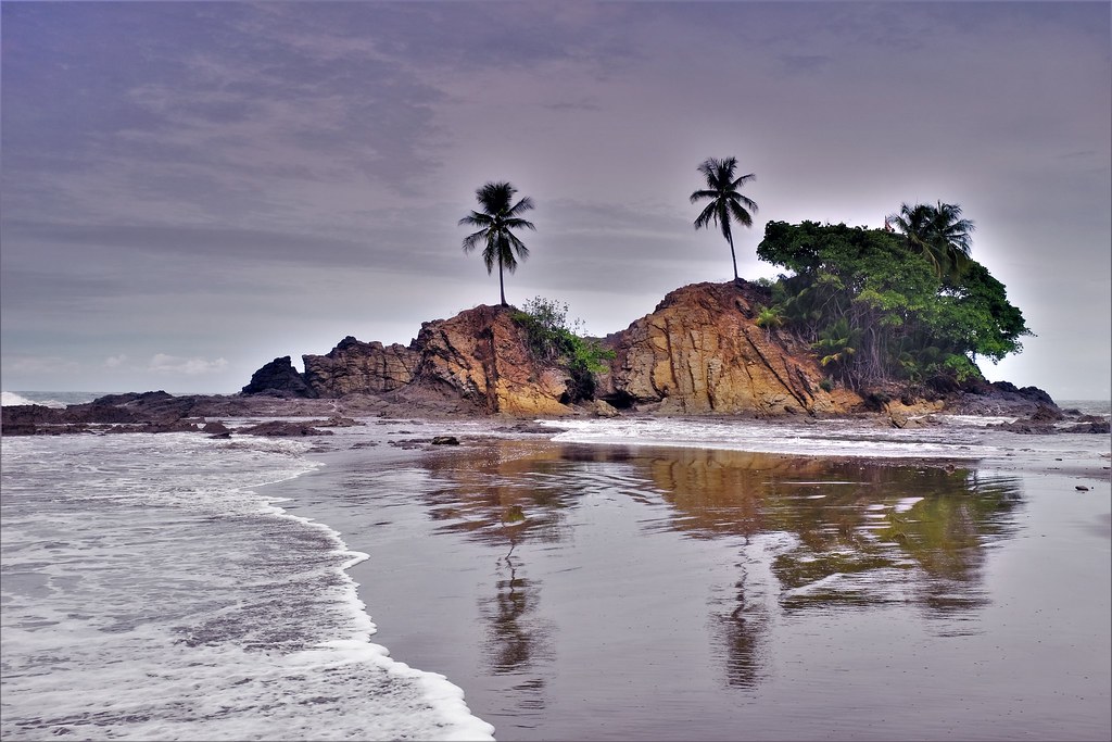 Clean and clear water on the beach and tall trees near the beach and large rocks near beach
