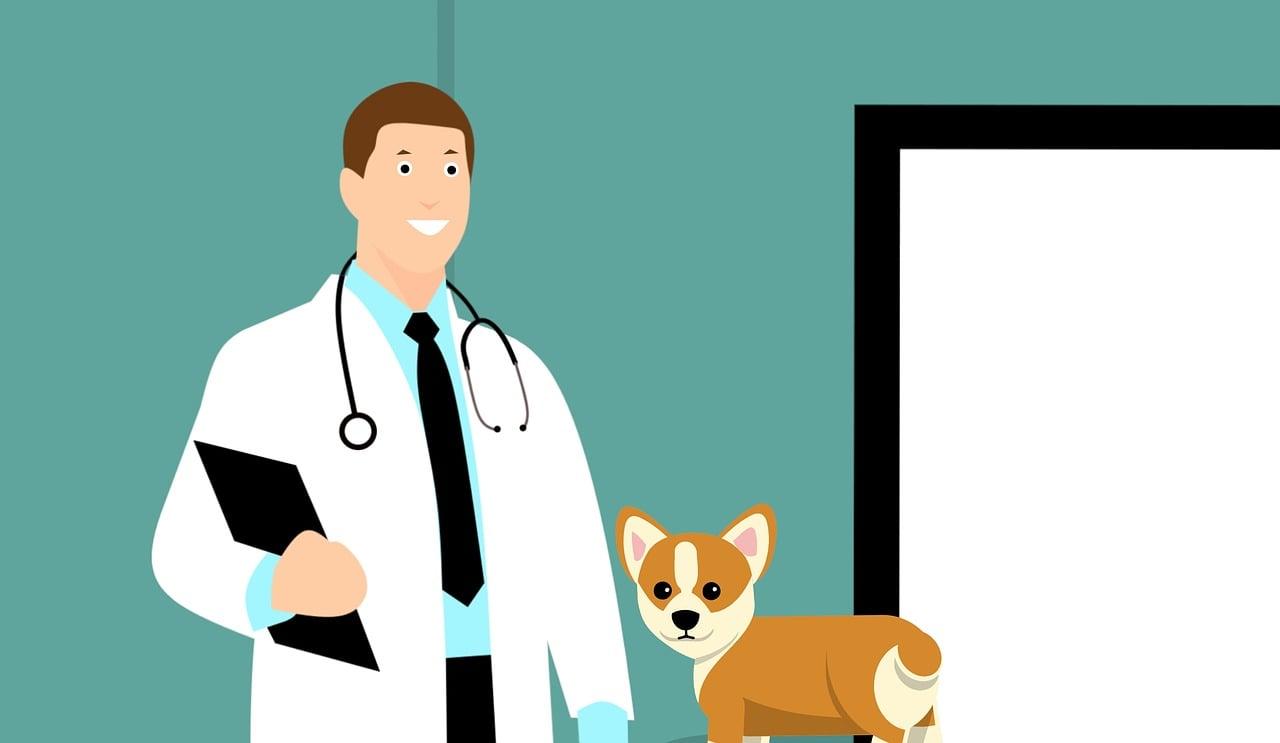 A person in a white coat with a stethoscope around his neck and a dog
Description automatically generated