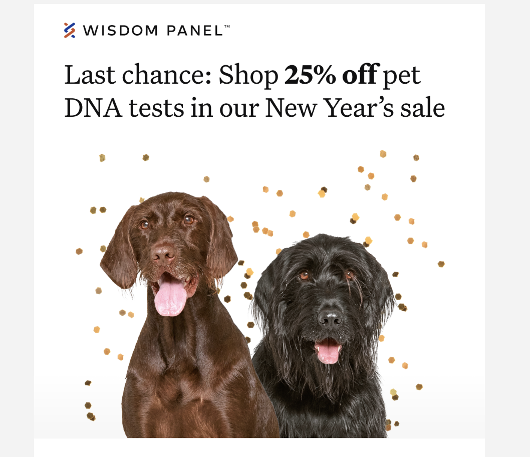 Holiday marketing email from wisdom panel