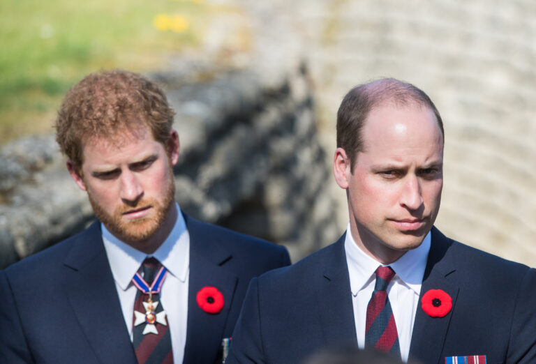 Prince William et Prince Harry.