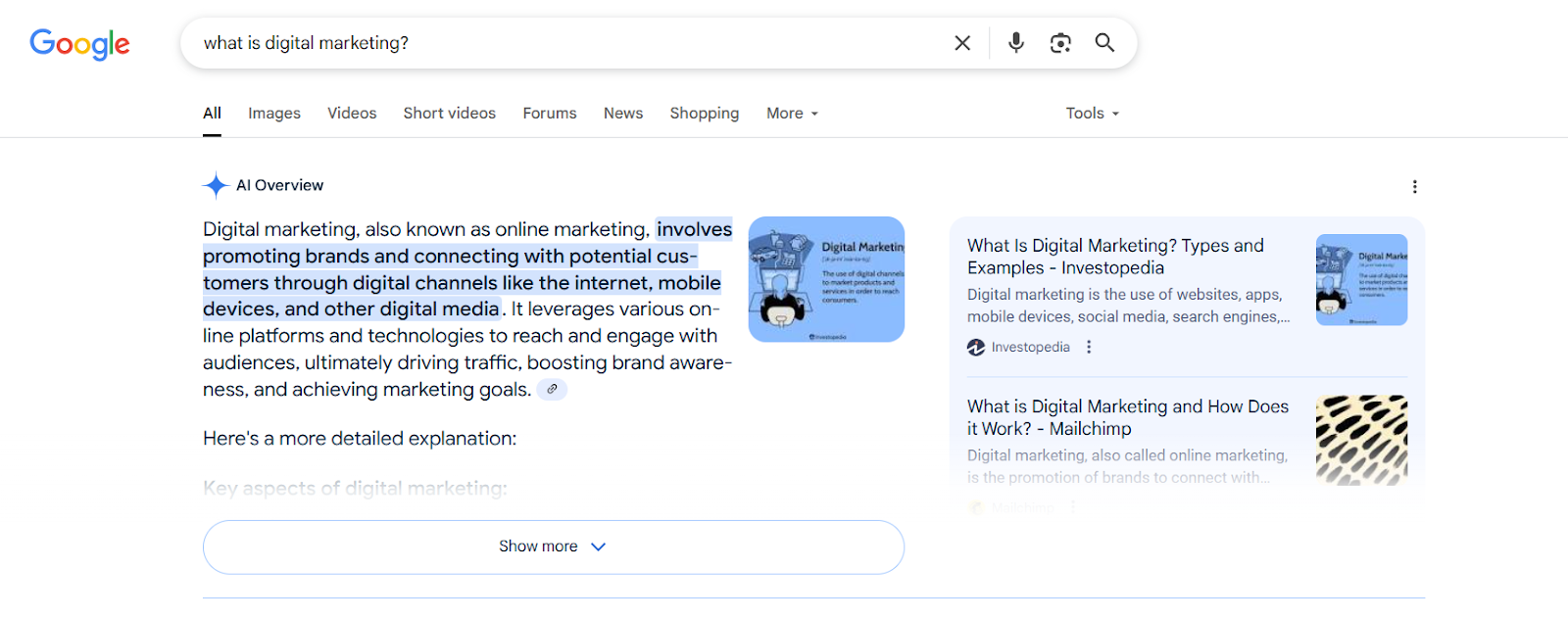 AI overview in Google search
