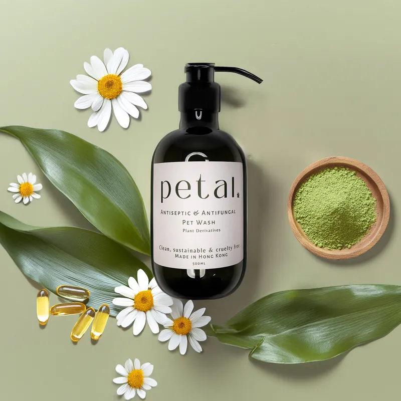 替代文字：使用 Petal Antiseptic & Antifungal Pet Wash 後，一隻乾淨、毛茸茸的狗舒適地坐在明亮、氣味清新的浴室裡。