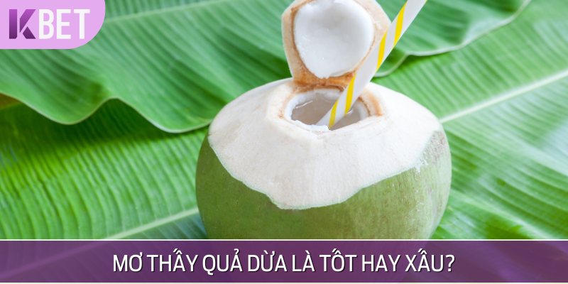 nằm mơ thấy quả dừa là tốt hay xấu
