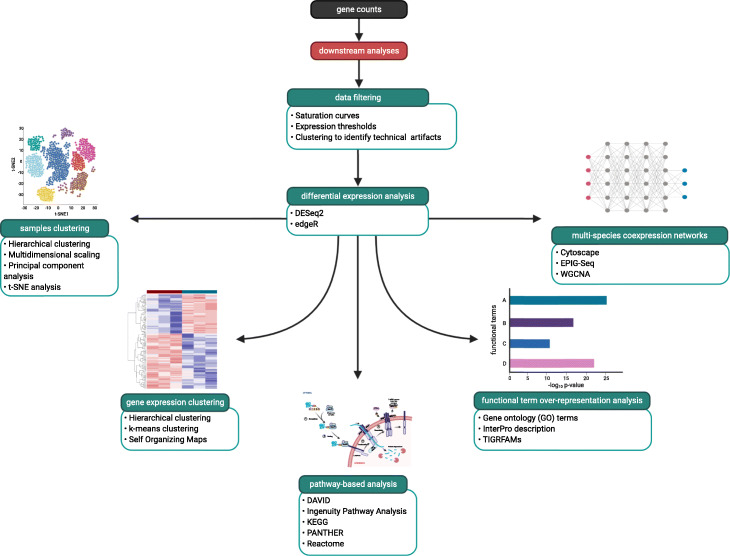 How Does RNA-seq Power DGE Analysis?