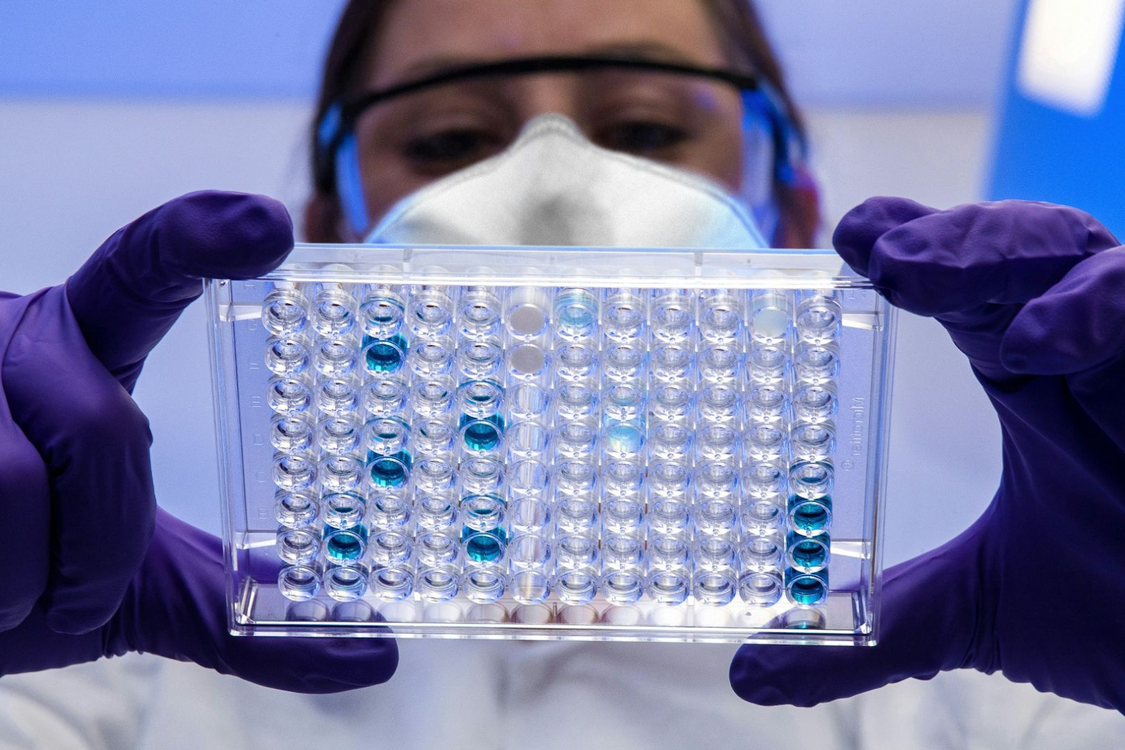 scientist-wearing-mask-and-gloves-holding-microplate-with-blue-liquid-samples-in-laboratory-how-i-ran-vesugen-protocol-thats-fueling-an-underground-movement-tony-huge