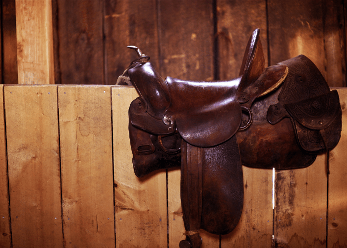 How to Fit a Saddle to a Horse