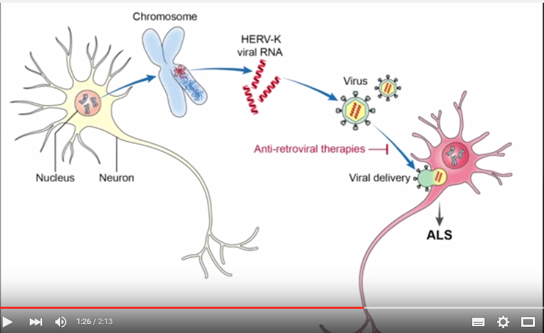 A possible link between virus genes and ALS.png