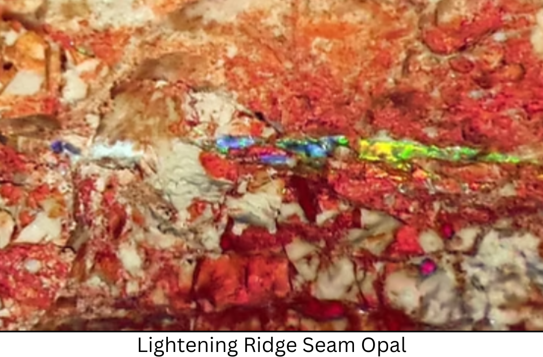 Lightening Ridge Seal Opal