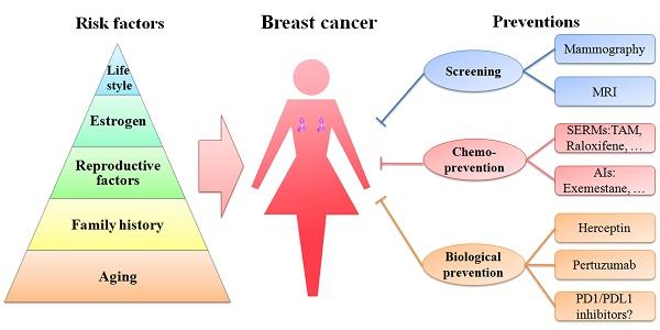 Risk Factors and Preventions of Breast Cancer