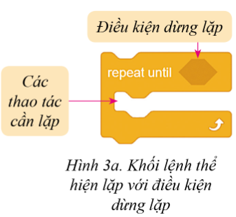 BÀI 5: THỂ HIỆN CẤU TRÚC LẶP TRONG CHƯƠNG TRÌNH