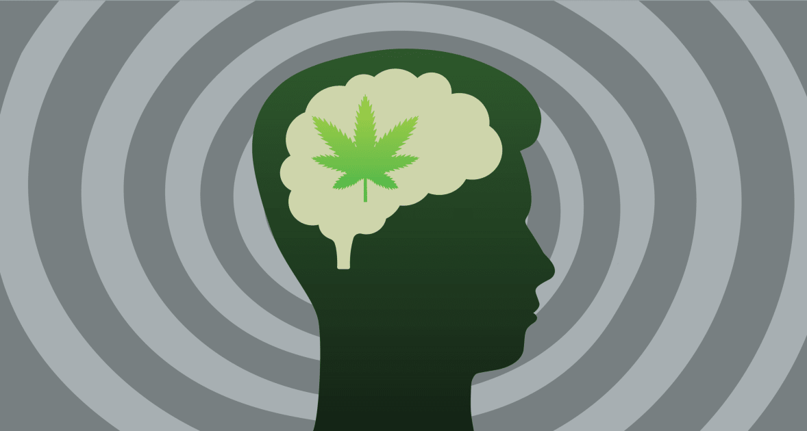 Psychoactive and Therapeutic Effects of THC