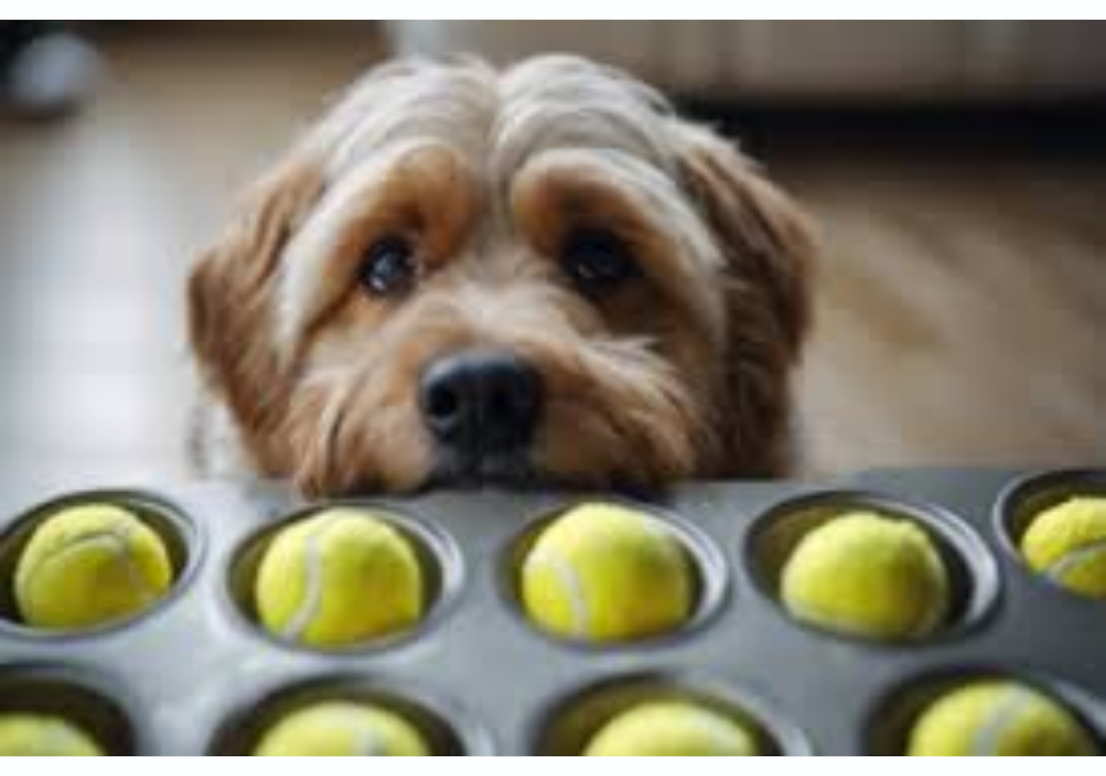 The Muffin Tin Ball Drop