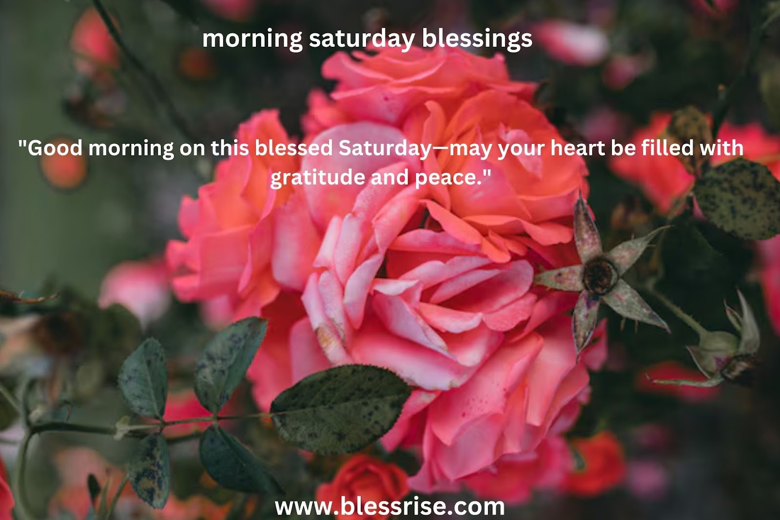 Weekend Blessings