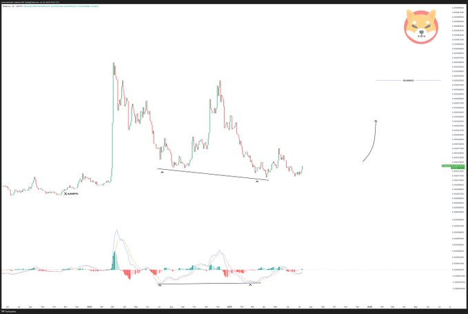 chart posted on July 11 by JavonTM1/Shiba Inu Poised for 135% Gain, Analyst Says, Citing Bullish Pattern
