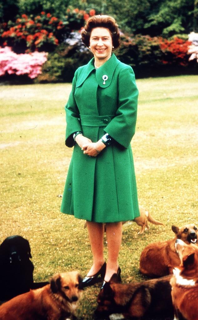 https://akns-images.eonline.com/eol_images/Entire_Site/20141014/rs_634x1024-141114150052-634.Queen-Elizabeth-Corgis.jl.111414.jpg