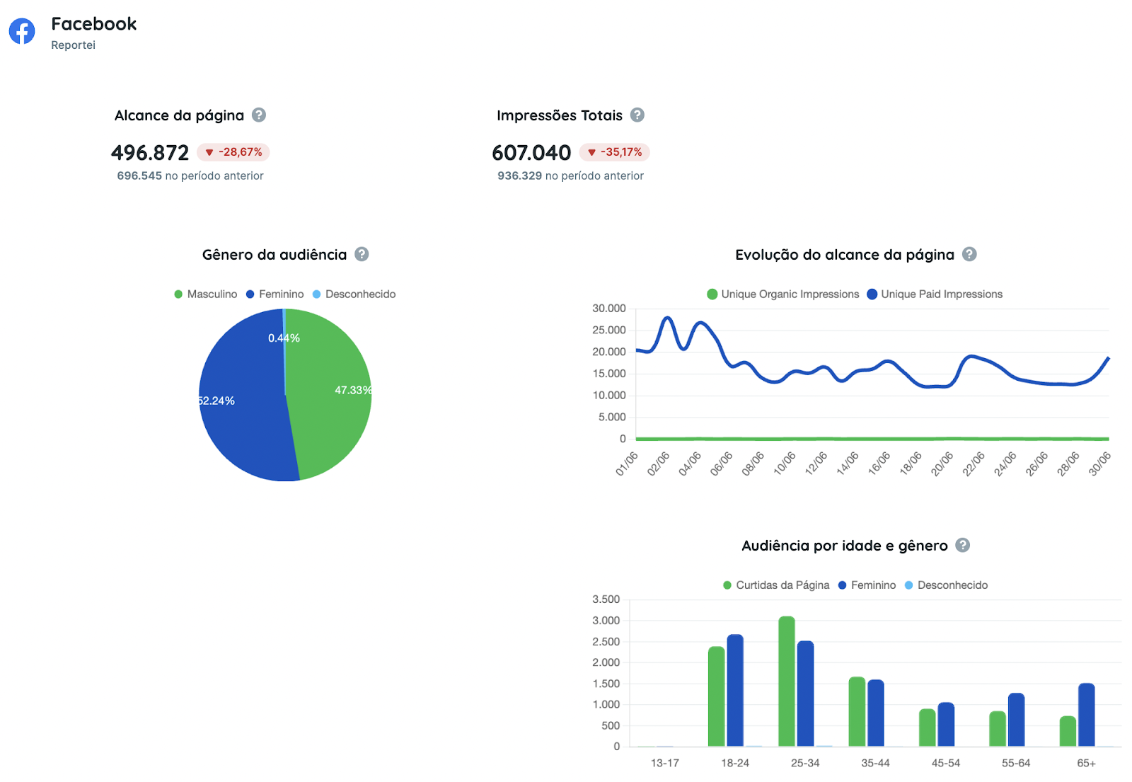 Template de Facebook no relatório para agências de marketing