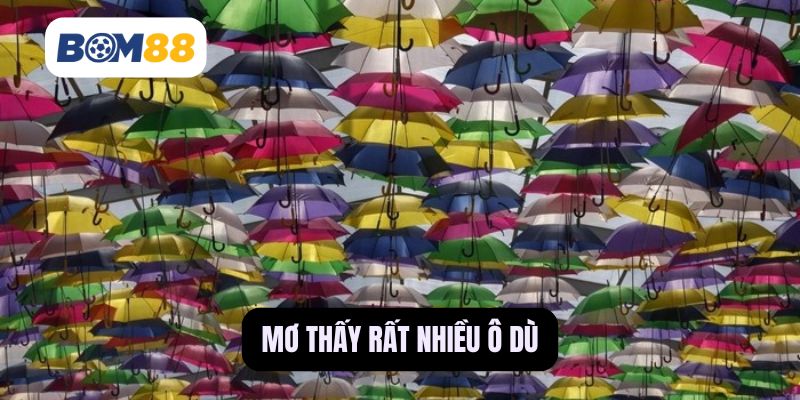 Mơ thấy rất nhiều ô dù