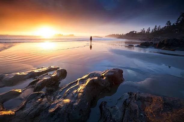 Soft Light and Wide Skies: 18 Beautiful Landscapes, soft light photos, sky landscapes, nature, forest, landscape, gentle scenes, atmospheric views