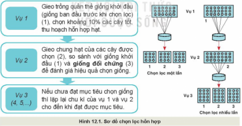 Giải bài 12 Một số phương pháp chọn, tạo giống cây trồng