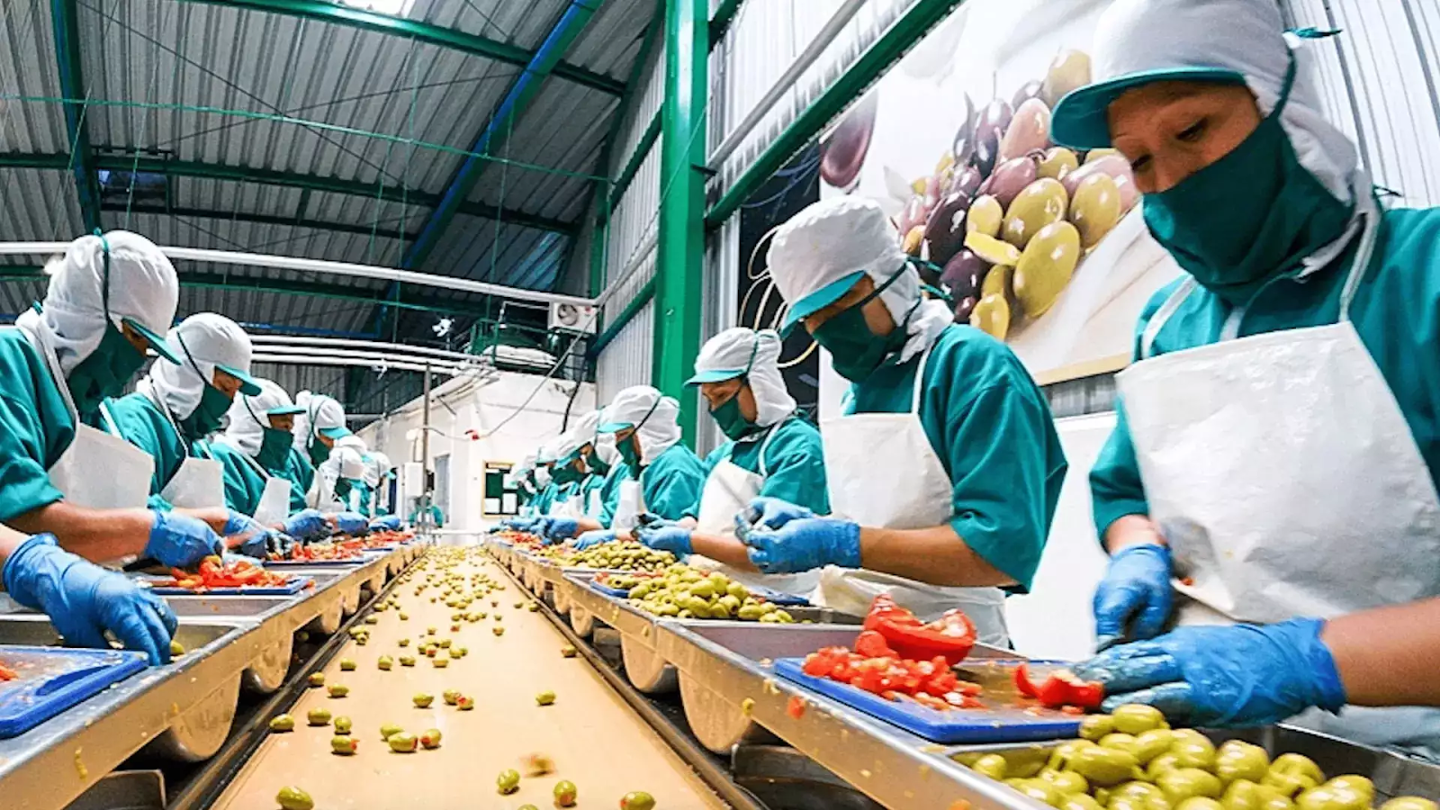 Processed Food Industry