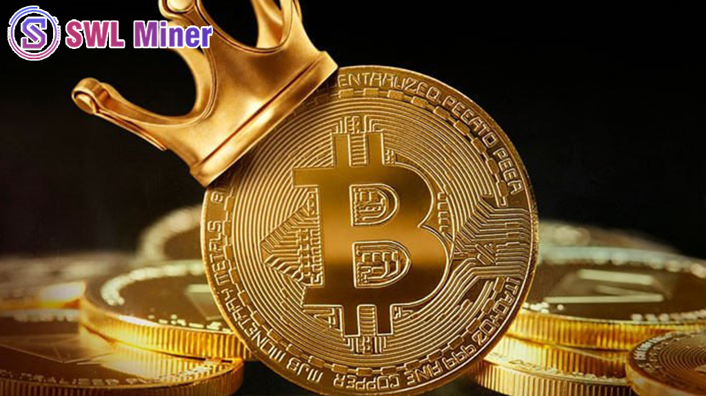 Start free mining with SWL Miner using cryptocurrencies like BTC LTC XPR etc