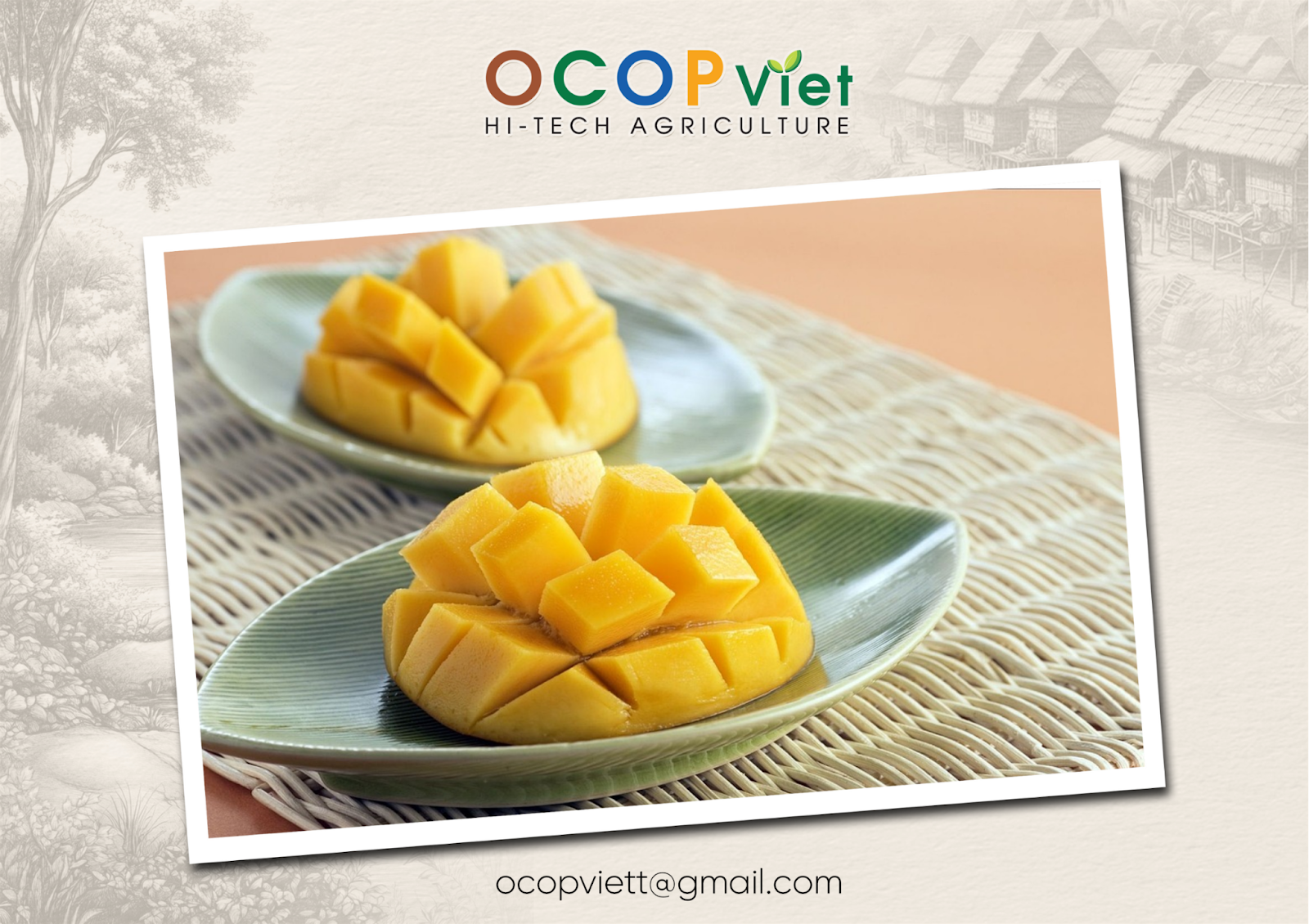 ăn xoài có tốt không