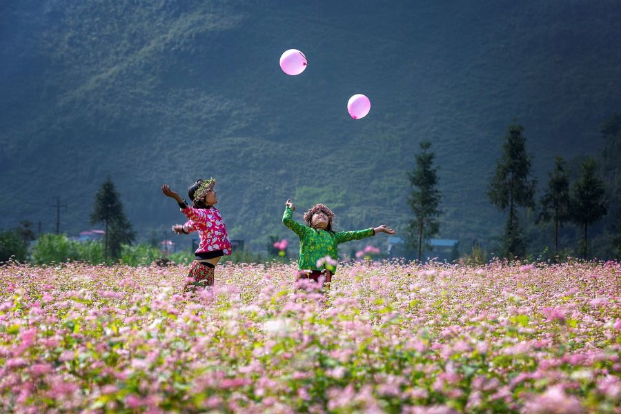 Each festival in Sung La is not just a cultural event but also a vibrant reflection of the rich spiritual life of the local ethnic communities.