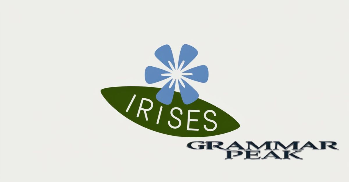 Using ‘Irises’ and ‘Irides’ in Sentences (Plural Usage)