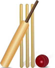 https://openclipart.org/image/300px/svg_to_png/153067/cricket.png