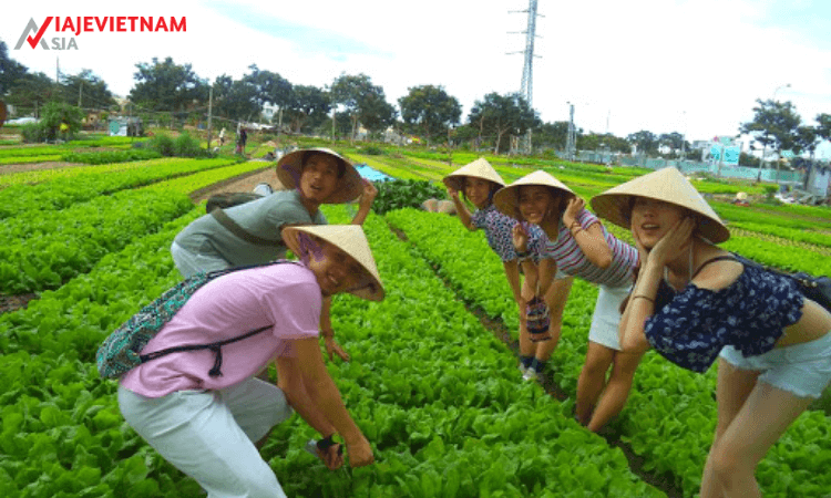 Du lịch theo phong cách Viajes Vietnam Asia là một trải nghiệm khó quên