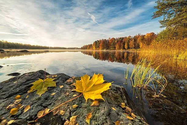 25 Photos of Sunlight Kissing the Earth, sunlight landscapes, nature glow, nature, landscape, golden fields, morning rays