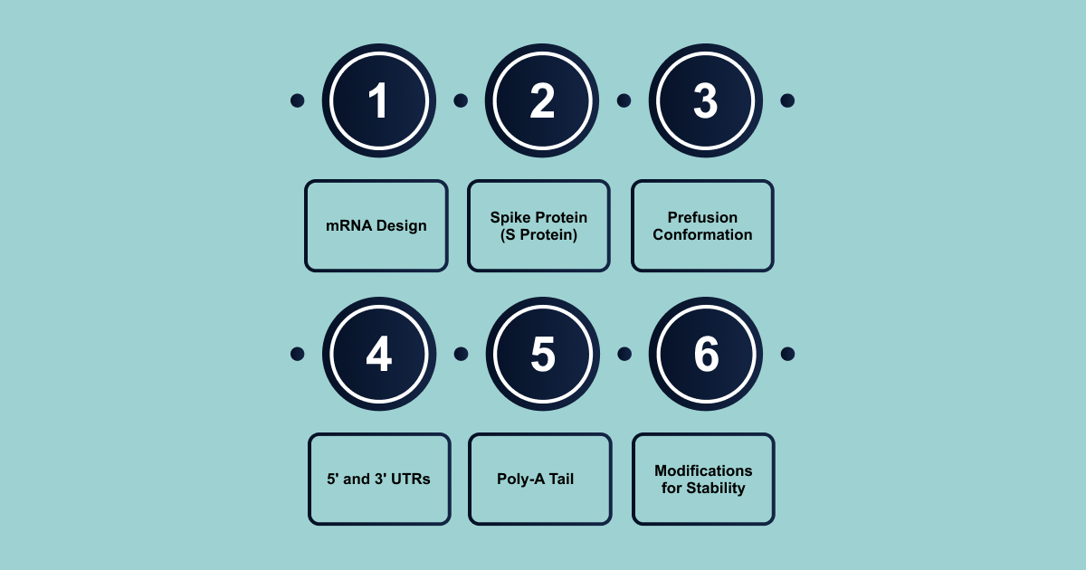 Understanding BNT162b2: Structure and Components