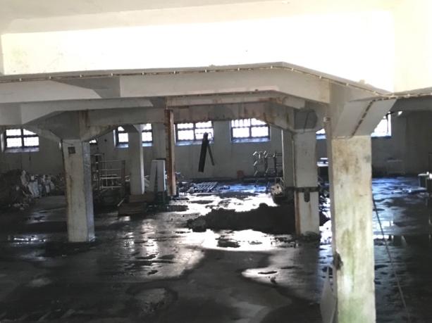 Epac: obra de arte abandonada há décadas em braga - urge a sua recuperação