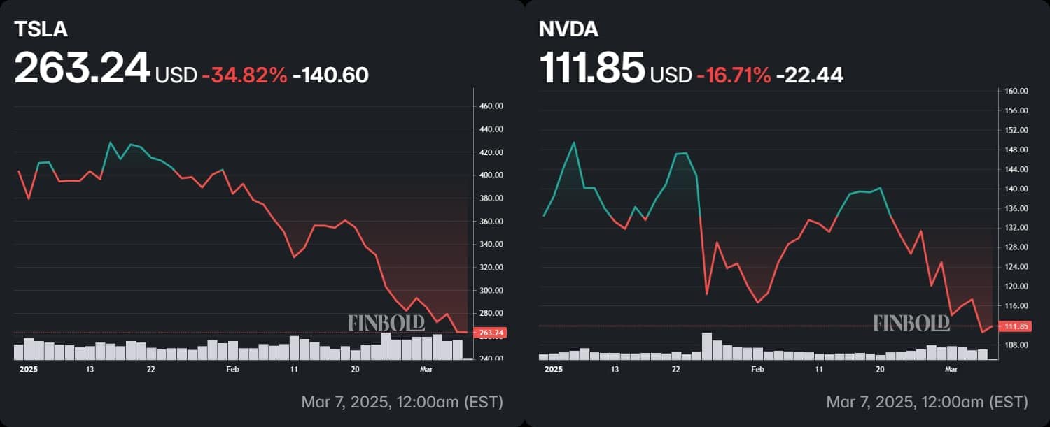 Tesla and Nvidia shares' performance in 2025.