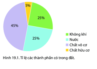 BÀI 19: LỚP ĐẤT VÀ CÁC NHÂN TỐ HÌNH THÀNH ĐẤT. MỘT SỐ NHÓM ĐẤT ĐIỂN HÌNHI. Lớp đất, các thành phần chính cảu đất và tầng đất1. Lớp đấtLớp vật chất mỏng, tơi xốp bao phủ trên bề mặt các lục địa và đảo, được đặc trưng bởi độ phì gọi là lớp đất2. Các thành phần chính của đấtCâu 1: Dựa vào hình 19.1 và thông tin trong bài em hãy:- Cho biết các thành phần chính của đất- Thành phần nào chiếm tỉ lệ lớn nhất?- Thành phần nào quan trọng nhất?Giải nhanh:- Các thành phần chính của đất: không khí, nước, chất vô cơ, chất hữu cơ- Thành phần chất vô cơ chiếm tỉ lệ lớn nhất  tới 45%- Thành phần chất hữu cơ quan trọng nhất3. Tầng đấtCâu 2: Dựa vào hình 19.2 và thông tin trong bài em hãy:- Có mấy tầng đất chính- Tầng nào chứa chất mùn và có nhiều chất dinh dưỡng?Giải nhanh:- Có 4 tầng đất chính: + Tầng hữu cơ+ Tầng đất mặt+ Tầng tích tụ+ Tầng đá mẹ- Tầng đất mặt chứa chất mùn và có nhiều chất dinh dưỡngII. Các nhân tố hình thành đấtCâu 3: Dựa vào hình 19.3 và thông tin trong bài, em hãy cho biết những ảnh hưởng của con người đến đất theo hướng tích cực hoặc tiêu cựcGiải nhanh:TÍCH CỰCTIÊU CỰC+ Trồng cây, gây rừng phủ xanh đất trống+ Khai thác, chăm bón, cày cấy đào xới cho đất tơi xốp+ Áp dụng các biện pháp bảo vệ môi trường đất, kiểm soát hoạt động khai thác đất đai sao cho hiệu qủa+ Dân số ngày càng tăng nhanh, rác thải sinh hoạt và vấn đề canh tác cũng trở thành gánh nặng.+ Con người khai thác khoáng sản nhiều, thải nhiều rác ra môi trường, khiến cho đất bị ô nhiễm nghiêm trọng.+ Lạm dụng nguồn tài nguyên đất và tác động xấu đến đất như sử dụng phân bón hóa học, thuốc bảo vệ thực vật đã gây ra tình trạng ô nhiễm môi trường.+ Nhiều nơi khai thác rừng tràn lan khiến đất đai đồi núi xói mòn, thoái hóaIII. Một số nhóm đất điển hình trên thế giớiCâu 4: Dựa vào hình 19.4 em hãy kể tên:- Một số nhóm đất điển hình trên thế giới- Các nhóm đất điển hình ở lục địa Á- Âu và lục địa PhiGiải nhanh:- Một số nhóm đất điển hình trên thế giới: đất potzon, đất đen thảo nguyên ôn đới, đất đỏ vàng nhiệt đới, đất xám hoang mạc và bán hoang mạc,...NHÓM ĐẤT ĐIỂN HÌNHLục địa Á- ÂuLục địa Phiđất potzon,  đất xám hoang mạc và bán hoang mạc, đất khácđất đỏ vàng nhiệt đới,đất xám hoang mạc và bán hoang mạc, đất khác...I. Luyện tậpCâu 1: Em hãy cho biết:- Vai trò của lớp đất đối với sinh vật ( thực vật, động vật,....)?- Nhân tố nào đóng vai trò quan trọng trong quá trình hình thành đất? giải thích vì sao em chọn nhân tố đó?Giải nhanh:- Vai trò của lớp đất đối với sinh vật (thực vật, động vật,....):+ Là nơi diễn ra mọi hoạt động sống của con người cũng như các loài sinh vật khác+ Chứa thành phần nước và không khí giúp cho sinh vật phát triển- Nhân tố  như đá mẹ, khí hậu, sinh vật  đóng vai trò quan trọng trong quá trình hình thành đất vì:+ Đá mẹ là nguồn cung cất vật chất vô cơ cho đất quyết định thành phần khoáng vật, ảnh hưởng đến amuf sắc và tính chất của đất+ Khí hậu tác động tới quá trình hình thành đất bằng lượng mưa và nhiệt độ+ Sinh vật góp phần tích tụ, phân hủy và biến đỏi chất hữu cơII. Vận dụng