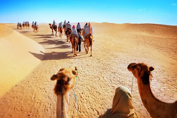 Jaisalmer Desert Safari Price 