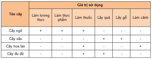 BÀI 29: THỰC VẬT1. ĐA DẠNG THỰC VẬTCâu 1: Quan sát hình 29.1, hãy kể tên một số đại diện thuộc các nhóm thực vật. Xác định đặc điểm của mỗi nhómĐáp án chuẩn: - Nhóm Rêu: cây rêu tường- Nhóm Dương xỉ: cây dương xỉ- Nhóm Hạt trần: cây vạn tuế, cây thông- Nhóm Hạt kín: cây đào, cây xương rồngCâu 2: Có thể phân biệt nhóm Rêu và nhóm Dương xỉ nhờ đặc điểm cấu tạo bên trong nào?Đáp án chuẩn: Rêu không có mạch dẫn, dương xỉ có hệ mạch dẫn.Câu 3: Đặc điểm nào giúp em phân biệt Hạt trần và cây hạt kínĐáp án chuẩn: Cây hạt trần có hạt nằm lộ trên noãn, không được bảo vệ trong quả cây hạt kín có hạt nằm trong quả.Câu 4: Em hãy cho biết môi trường sống của thực vật bằng cách hoàn thành bảng theo mẫu sau: Đáp án chuẩn: Tên câyMôi trường sốngCây rêuTường ẩmCây dương xỉĐất ẩmCây thôngTrên cạnCây xương rồngTrên cạnCây lanĐộ ẩm caoCây bèo tấmDưới nướcCây đàoTrên cạnCâu 5: Dựa vào đặc điểm các nhóm thực vật, hãy xây dựng khóa lưỡng phân theo gợi ý sau: Đáp án chuẩn: 2. VAI TRÒ CỦA THỰC VẬTCâu 1: Quan sát hình 29.2 và 29.3, em hãy nêu vai trò của thưc vật trong tự nhiên Đáp án chuẩn: Là nơi sinh sống cho một số sinh vật khác, cung cấp thức ăn cho các sinh vật khác, là một mắt xích quan trọng chuỗi thức ăn tự nhiên.Câu 2: Điều gì xảy ra với các sinh vật trong chuỗi thức ăn hình 29.2 nếu số lượng loài cỏ bị giảm đi đáng kể?Đáp án chuẩn: Nếu số lượng loài cỏ bị giảm đi đáng kể, số lượng động vật ăn cỏ sẽ kéo theo giảm xuống. Kéo theo đó, số lượng động vật ăn thịt loài ăn cỏ bị giảm xuống . Điều này gây mất cân bằng hệ sinh thái và ảnh hưởng một phần không nhỏ đến con người.Câu 3: Quan sát hình 29.4, hãy cho biết hàm lượng khí carbon dioxide và oxygen trong không khí được cân bằng như thế nào? Từ đó, hãy nêu vai trò của thực vật trong điều hòa khí hậuĐáp án chuẩn: - Nhờ quá trình quang hợp ở thực vật: do hấp thụ khí carbon dioxide và thải khí oxygen. Khí carbondioxide và oxygen trong không khí được cân bằng.- Khí carbon dioxide và oxygen trong không khí ổn định, điều hòa khí hậuCâu 4: Quan sát hình 29.5, em hãy cho biết tại sao phải trồng cây gây rừngĐáp án chuẩn: Để tăng độ che phủ, bảo vệ môi trường, giữ đất chống xói mòn, bảo vệ bờ biển ở vùng ven biển, góp phần làm giảm bớt lũ lụt, khô hạn…Câu 5: Việc trồng nhiều cây xanh có lợi ích gì đối với vấn đề bảo vệ môi trườngĐáp án chuẩn: Cung cấp khí oxygen cho con người hô hấp, hấp thụ CO2, amoniac, SO2, NO2, bụi bẩn,... làm giảm ô nhiễm môi trường, làm chậm sự bốc hơi, tăng độ ẩm không khí.Câu 6: Quan sát hình 29.7, hãy nêu vai trò của thực vật đối với đời sống con ngườiĐáp án chuẩn: Cung cấp nguồn lương thực, thực phẩm chủ yếu, là nguyên liệu để sản xuất giấy, đồ gỗ, nhựa, dầu thực vật, tinh dầu, thuốc chữa bệnh và các dụng cụ phục vụ đời sống, làm vật trang trí,…Câu 7: Nêu vai trò của một số loài thực vật ở địa phương em theo mẫu sau: Đáp án chuẩn: Câu 8: Tại sao nói  rừng xanh là lá phổi xanh