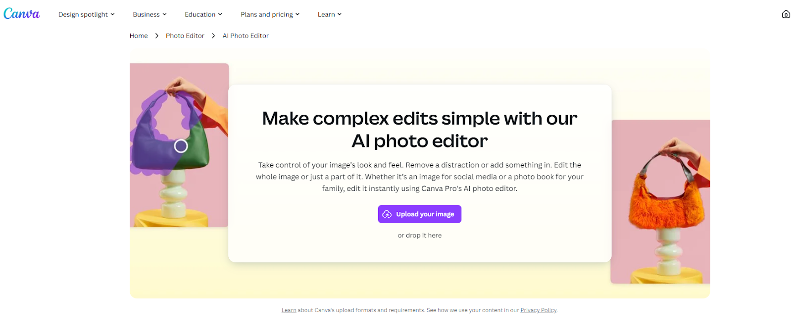 AI for Photo Editing