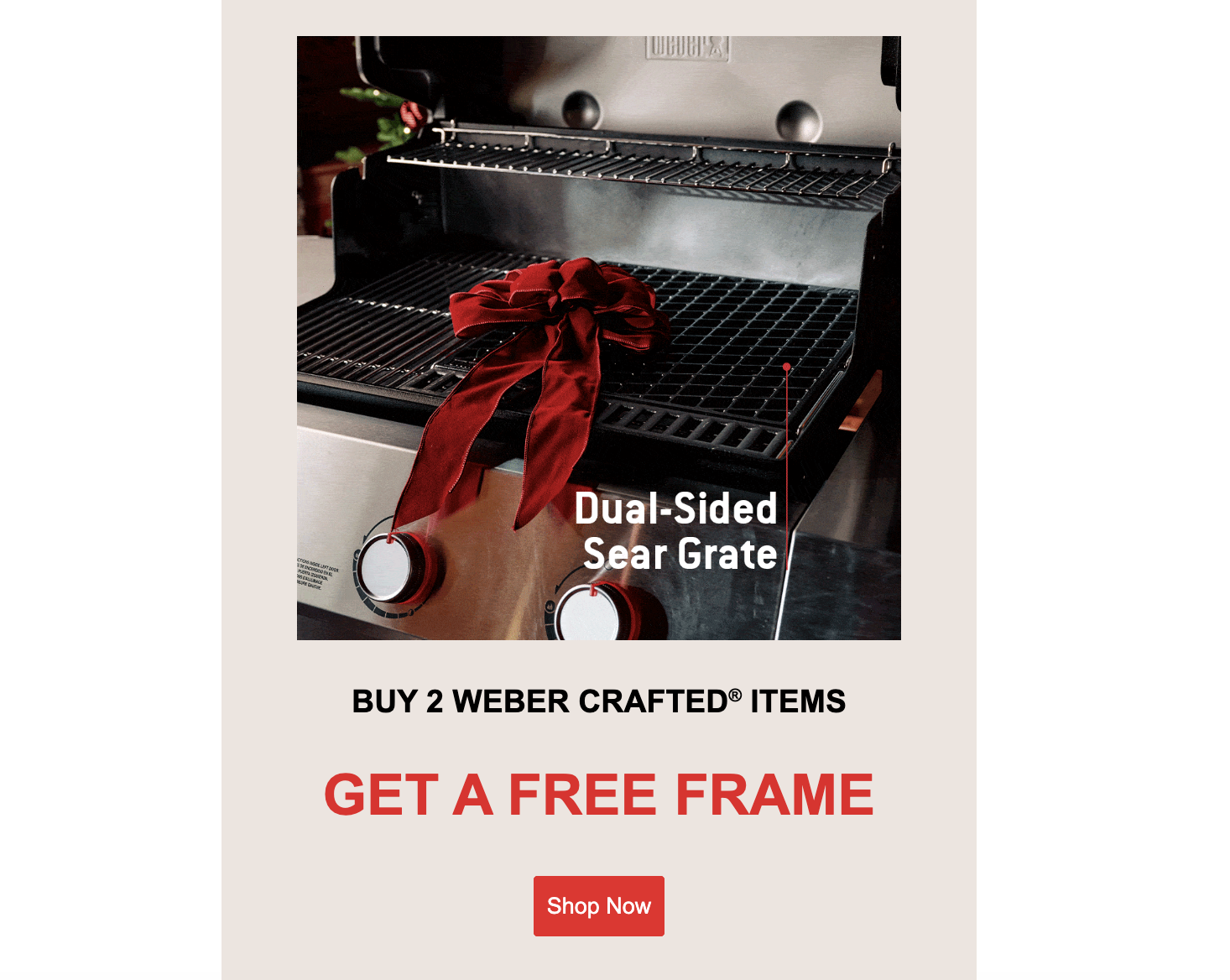 Holiday Marketing Email example