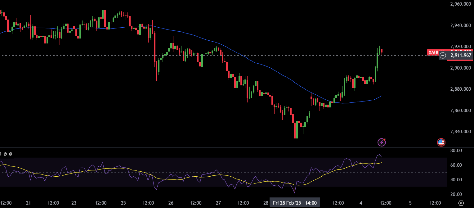 Binolla Blog Image - Trump causa turbulência no mercado de criptomoedas 12