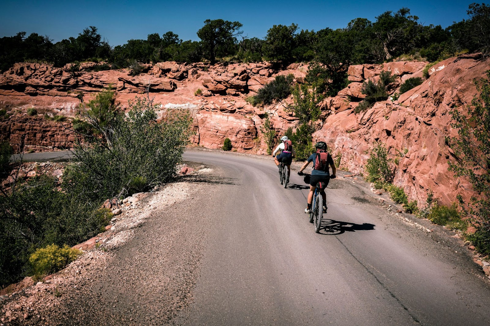 Top 10 Mountains in the U.S. for High-Elevation Cycling