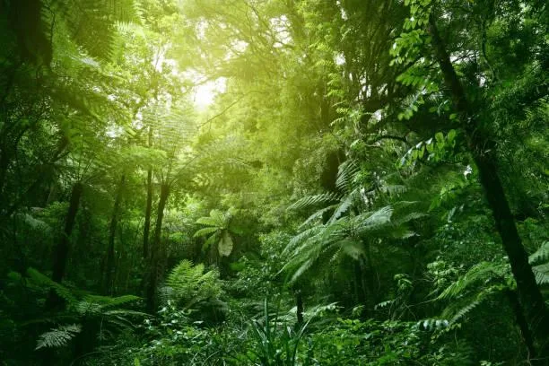 The Beauty of Earth in 18 Breathtaking Shots, earth photos, breathtaking views, nature, landscape, planet beauty, stunning landscapes