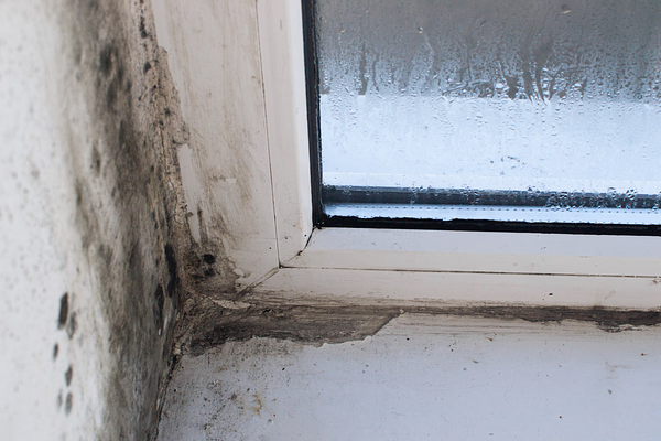 Signs of a Poorly Insulated Attic