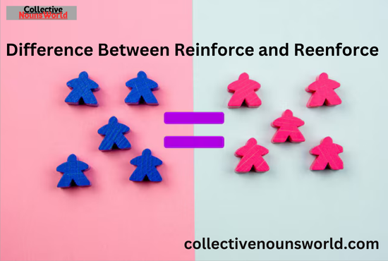 Reinforce