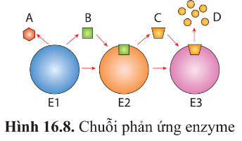 ÔN TẬP PHẦN 2